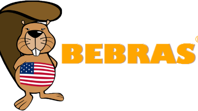 Bebras Computing Challenge 2024