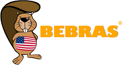 Bebras Computing Challenge 2024