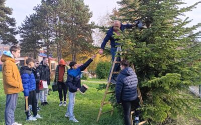 Postavljanje kućica i hranilica za ptice